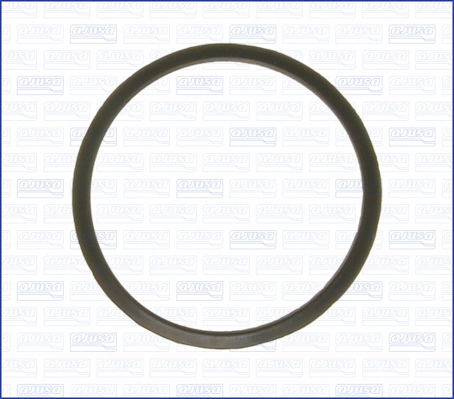 Seal, thermostat (00727600)