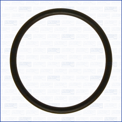 Gasket, intake manifold (16061300)