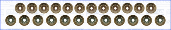 Seal Set, valve stem (57051500)