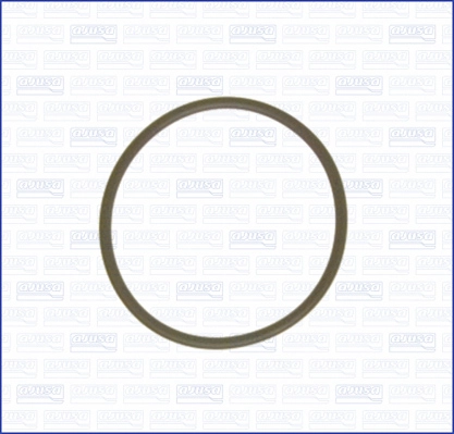 Gasket, fuel pump (16091400)