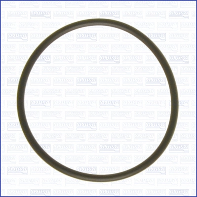 Gasket, vacuum pump (16088000)