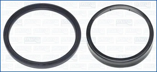 Shaft Seal, crankshaft (15065500)