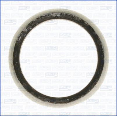 Gasket, exhaust pipe (00972300)