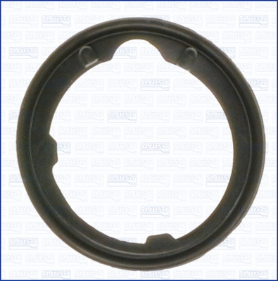 Seal, thermostat (00668400)
