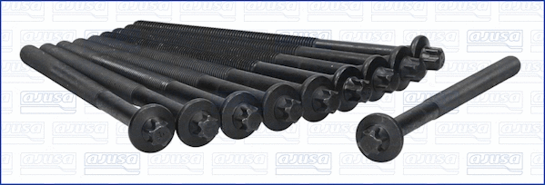 Cylinder Head Bolt Set (81024600)