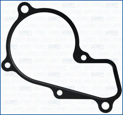 Gasket, water pump (01513800)
