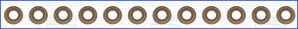 Seal Set, valve stem (57024400)