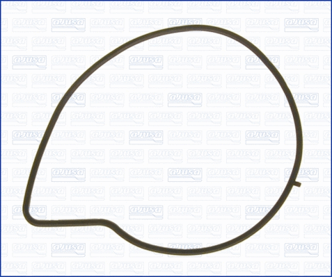 Gasket, water pump (01194600)