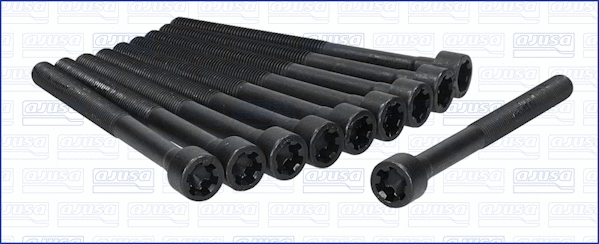 Cylinder Head Bolt Set (81007300)