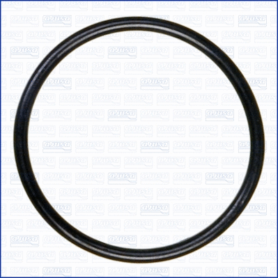 Gasket, intake manifold (16053300)