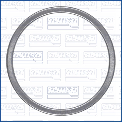 Gasket, exhaust pipe (18009000)
