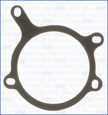 Gasket, water pump (00583700)