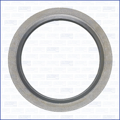 Seal Ring, oil drain plug (20009500)
