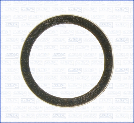Seal Ring, exhaust pipe (19005400)