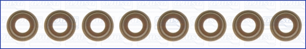 Seal Set, valve stem (57030100)