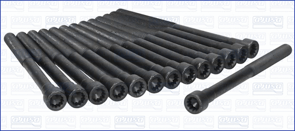 Cylinder Head Bolt Set (81016700)