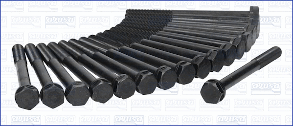 Cylinder Head Bolt Set (81012800)