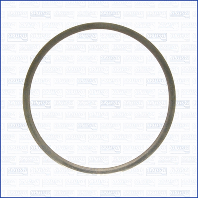 Gasket, cylinder head (10075000)