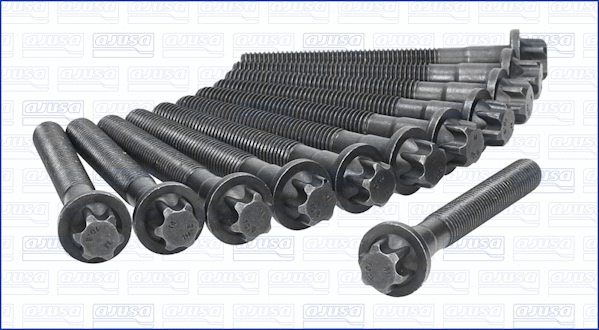 Cylinder Head Bolt Set (81028200)