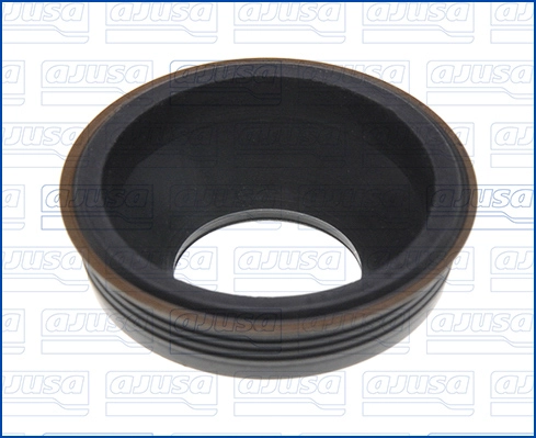 Seal, injector holder