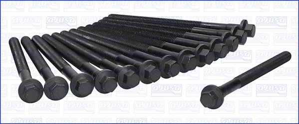 Cylinder Head Bolt Set (81020000)