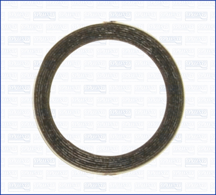 Seal Ring, exhaust pipe (19001100)
