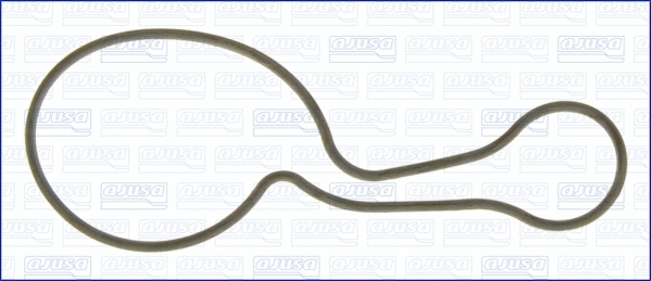Gasket, water pump (01049700)