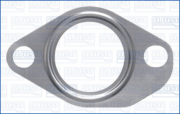Gasket, EGR valve pipe (01593300)