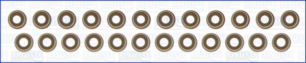 Seal Set, valve stem (57036800)