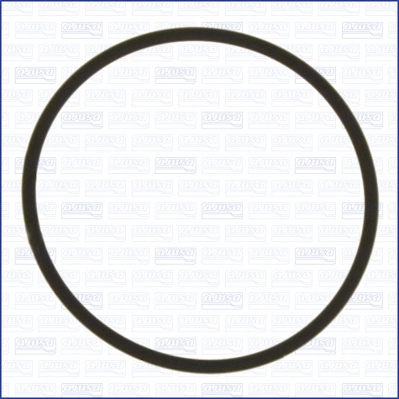 Seal, thermostat (16083300)