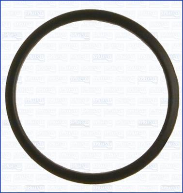 Seal, thermostat (00520000)