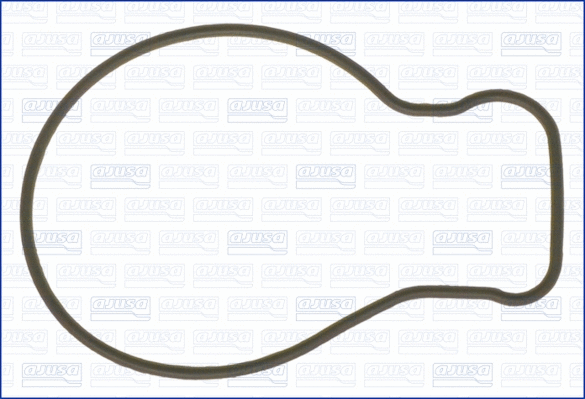 Gasket, water pump (00722800)
