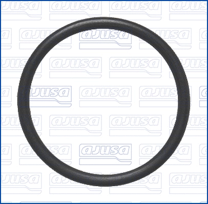 Seal Ring, coolant pipe (16566100)