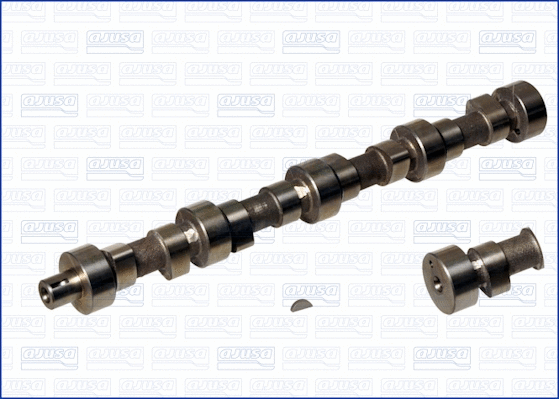 Camshaft (93084200)
