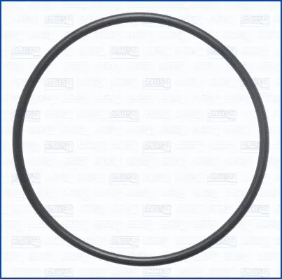 Gasket, water pump (16542100)