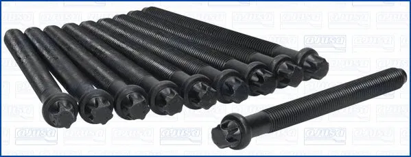 Cylinder Head Bolt Set (81069500)