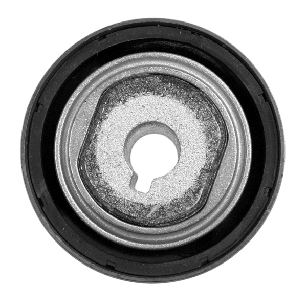 Mounting, control/trailing arm