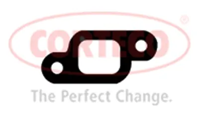 Gasket, exhaust manifold (460142H)