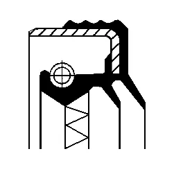 Shaft Seal, differential (12016062B)