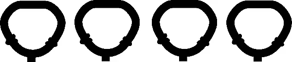 Gasket, intake manifold (026496H)