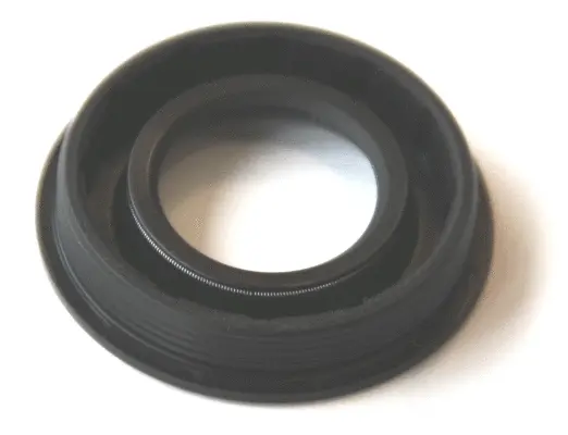 Seal Ring, nozzle holder