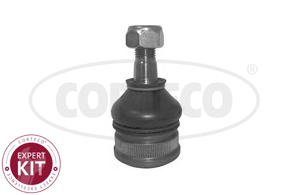 Ball Joint (49400722)