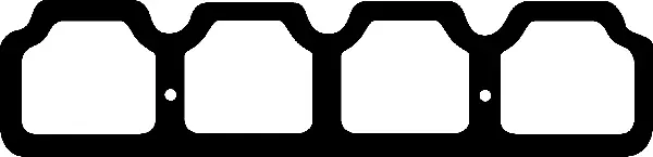 Gasket, cylinder head cover (423910P)