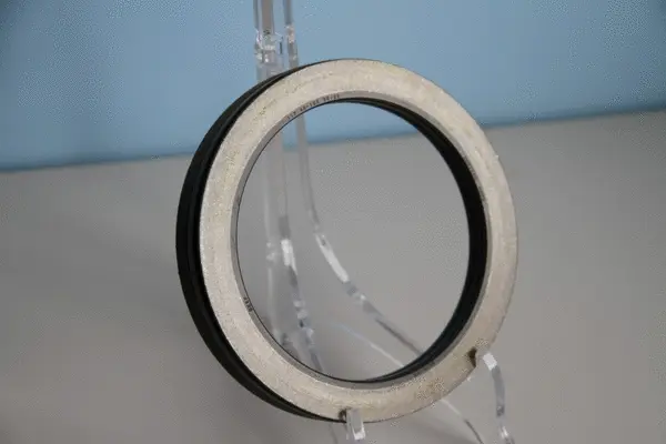 Shaft Seal, wheel hub (12018944B)