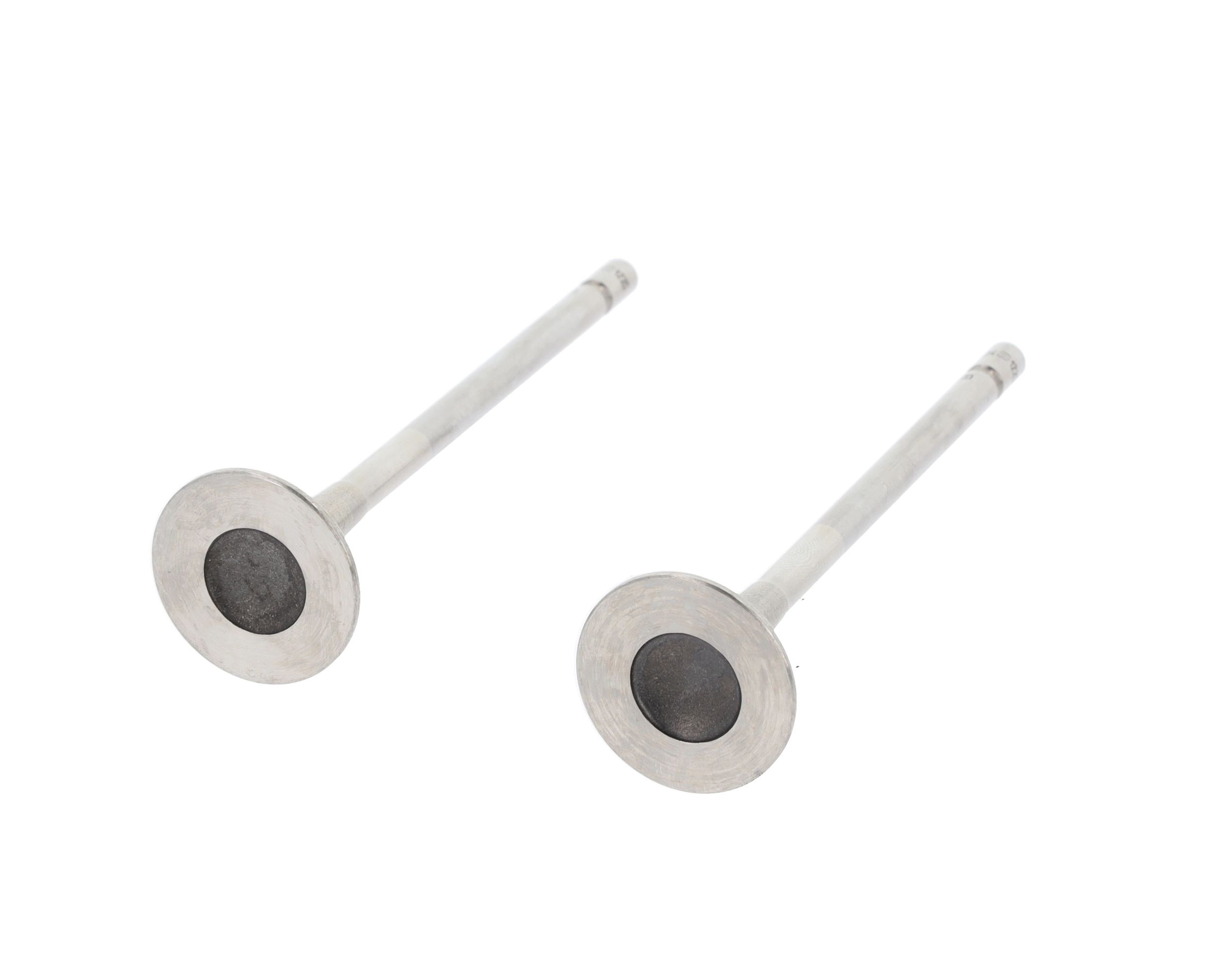 Exhaust Valve