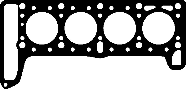 Gasket, cylinder head (411366P)