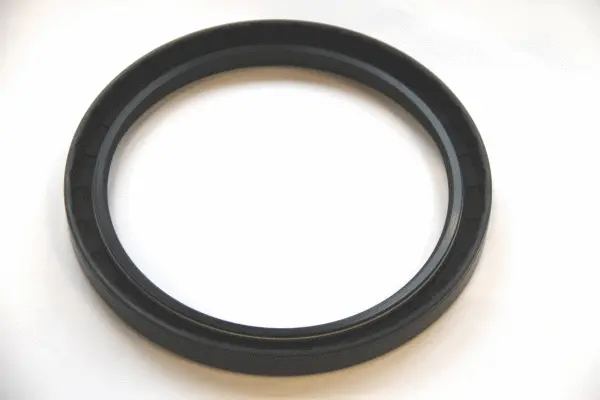 Seal Ring (49362530)