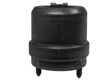 Mounting, engine (80000889)