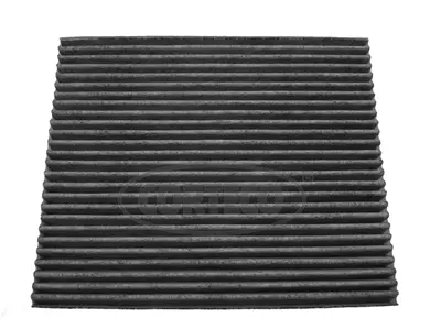 Filter, cabin air (80001213)