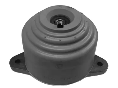 Mounting, engine (80001069)